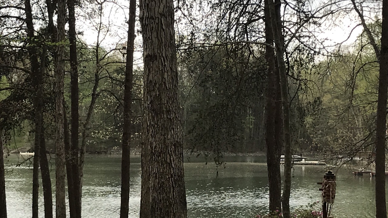 Photo of Others in Lake Norman of Catawba
