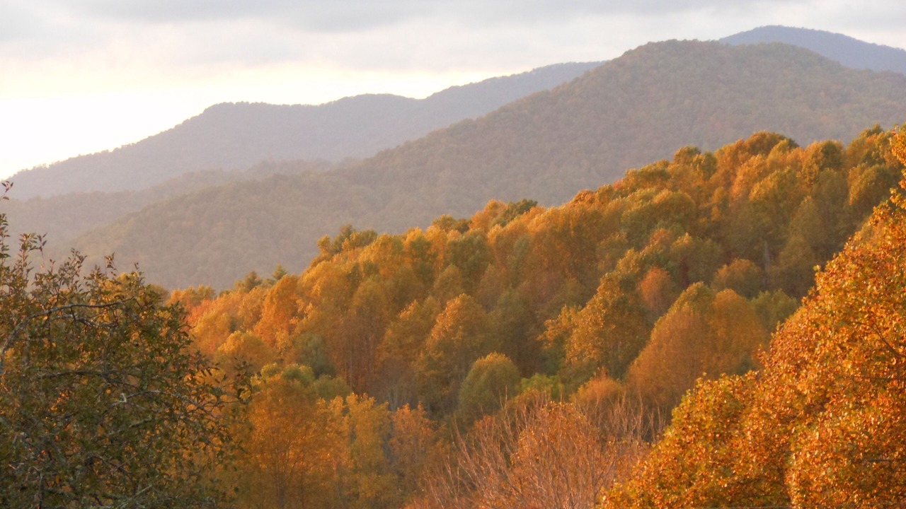 Photo of Others in Bakersville