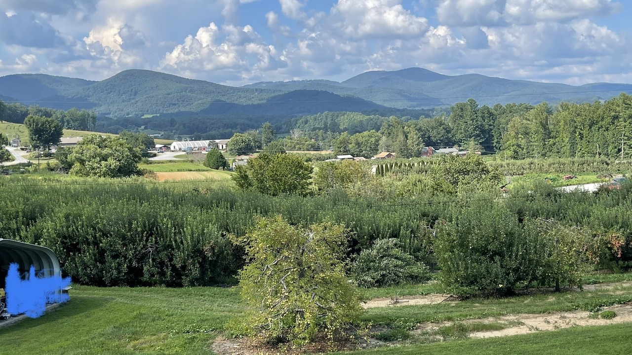 Photo of Outdoor in Hendersonville