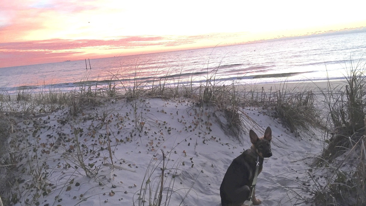 Photo of Others in Wilmington Beach
