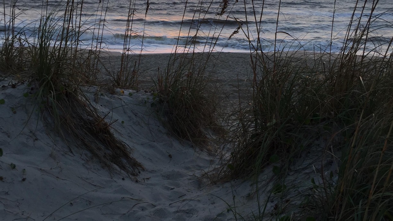 Photo of Others in Wilmington Beach