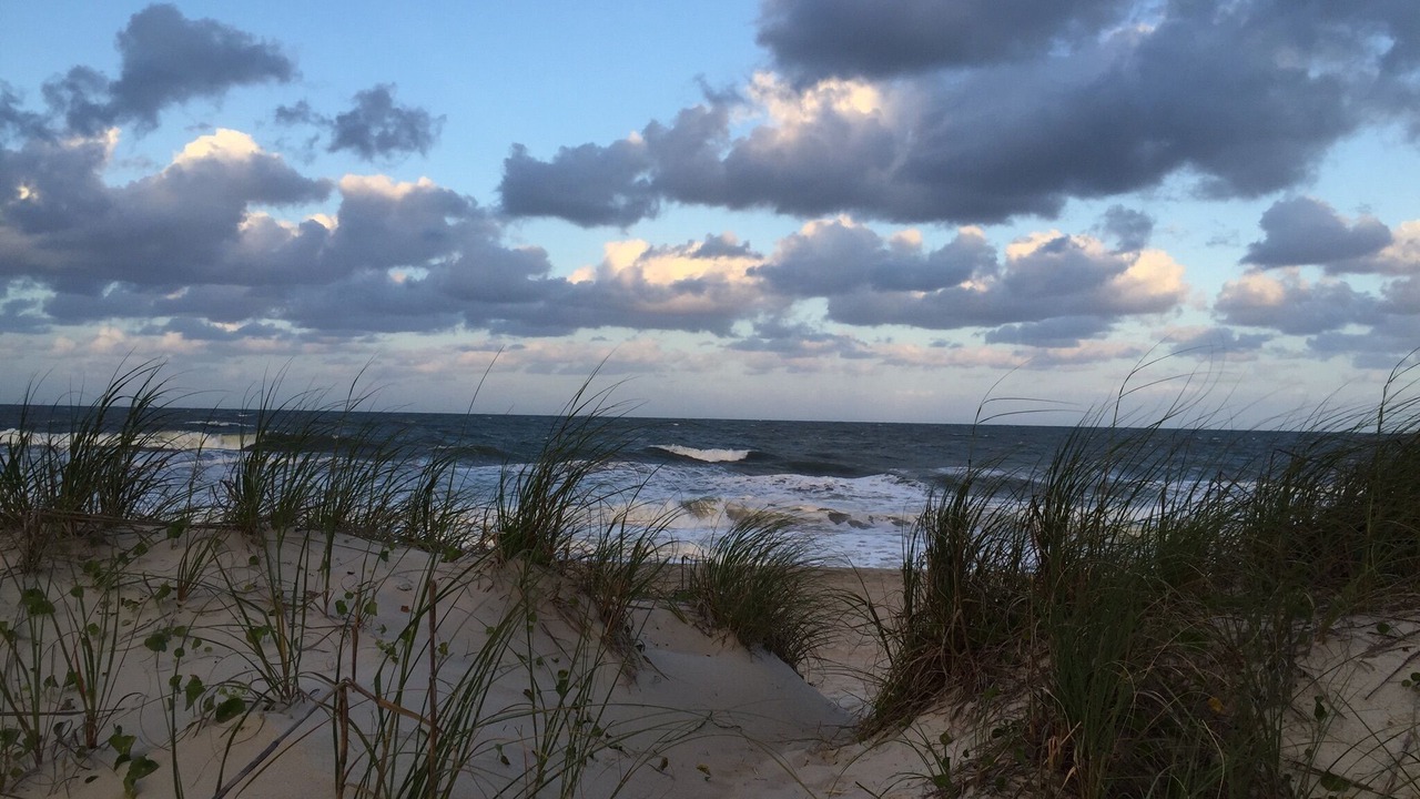 Photo of Others in Wilmington Beach