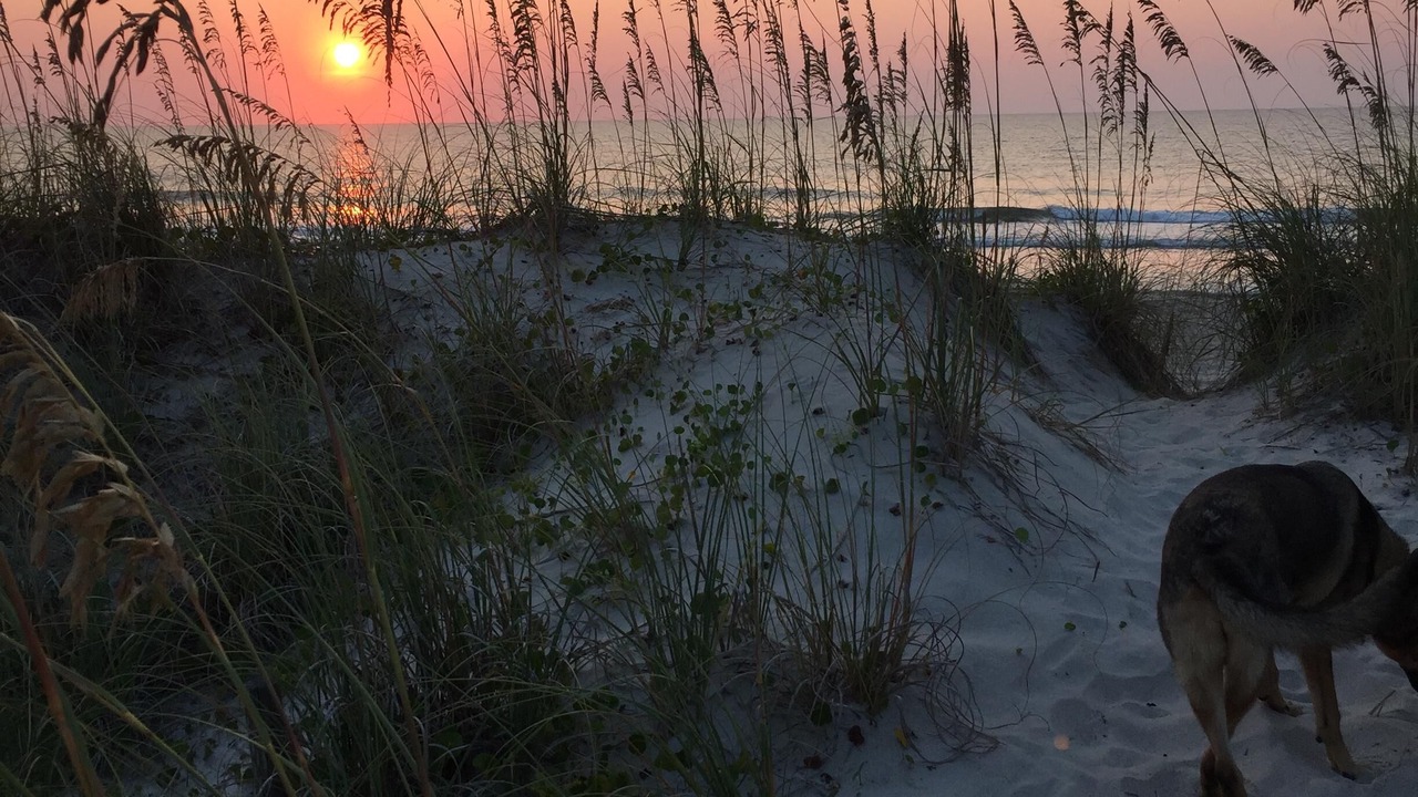 Photo of Others in Wilmington Beach