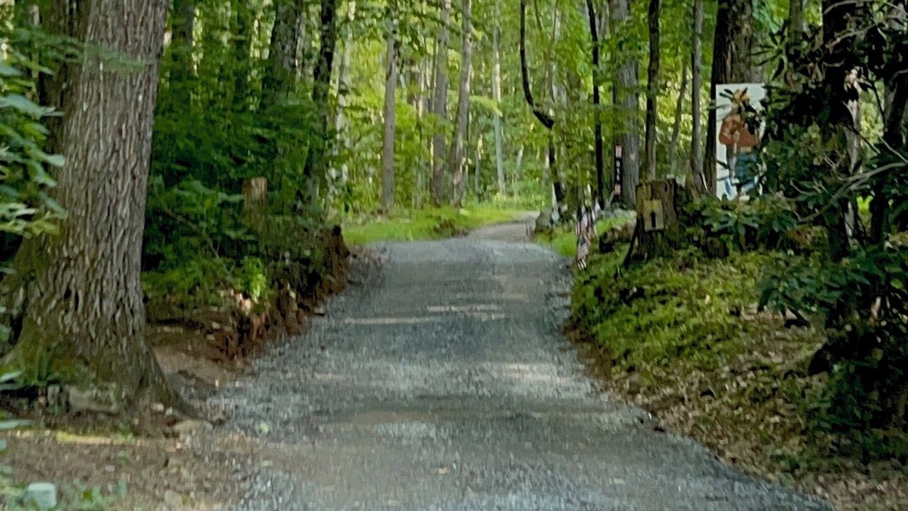 Photo of Outdoor in Candler