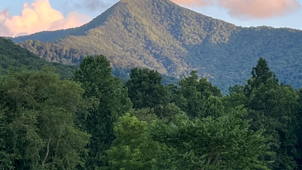 Photo of Others in Candler