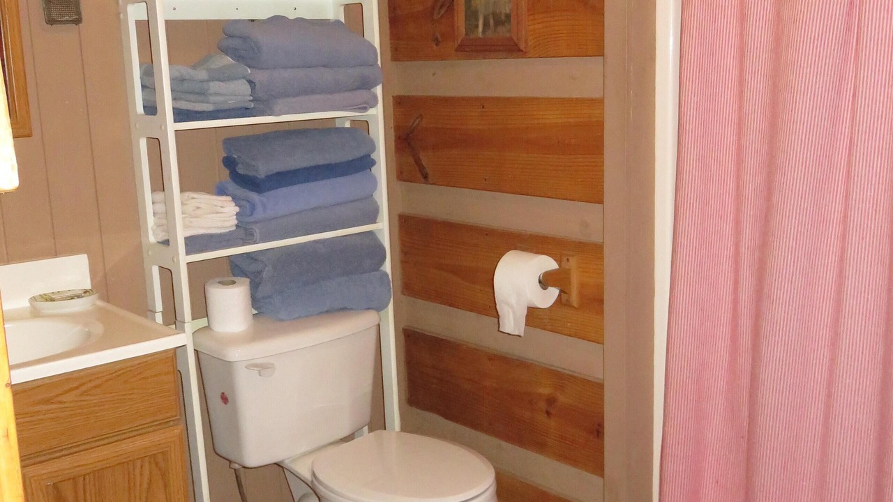 Photo of Bathroom in Candler