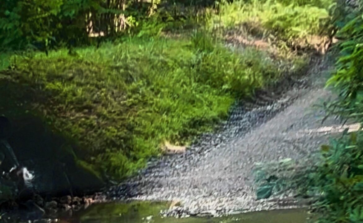 Photo of Others in Candler