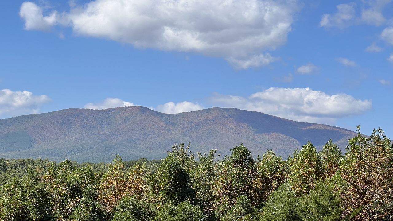 Photo of Outdoor in Nebo
