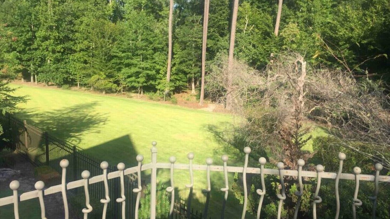 Photo of Outdoor in Raleigh