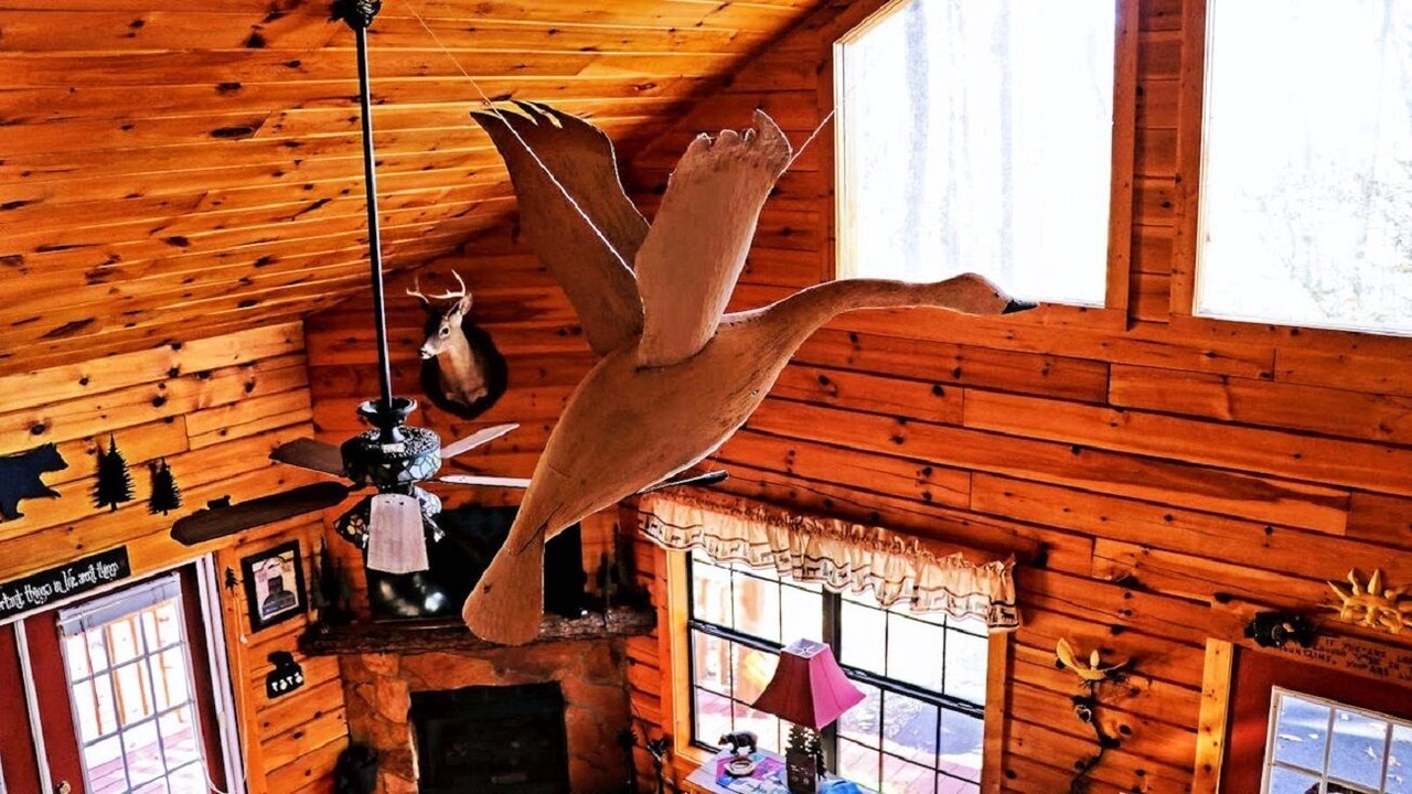 Photo of Others in Murphy