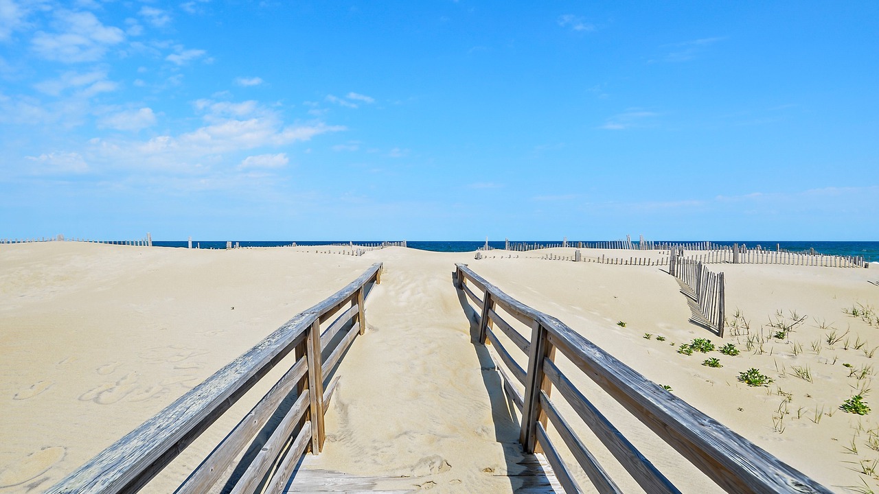 Photo of Others in South Nags Head
