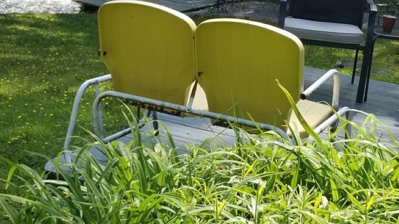 Photo of Outdoor in Bryson City