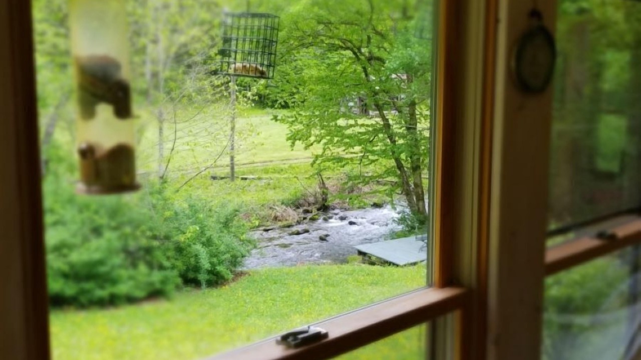Photo of Others in Bryson City