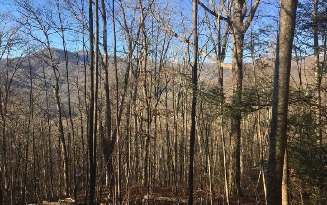 Photo of Others in Waynesville