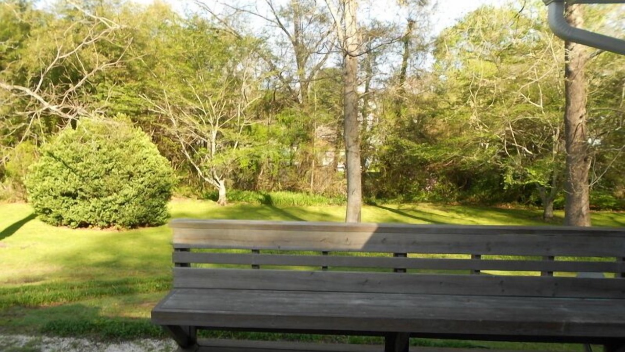 Photo of Others in Brevard