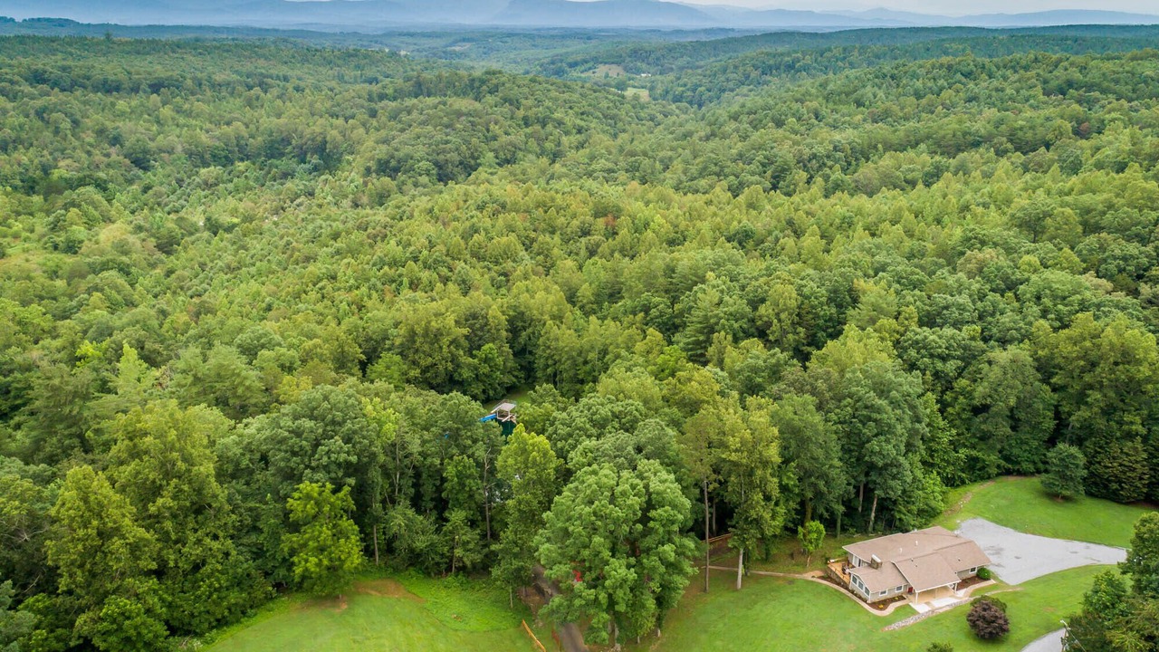 Photo of Others in Vein Mountain