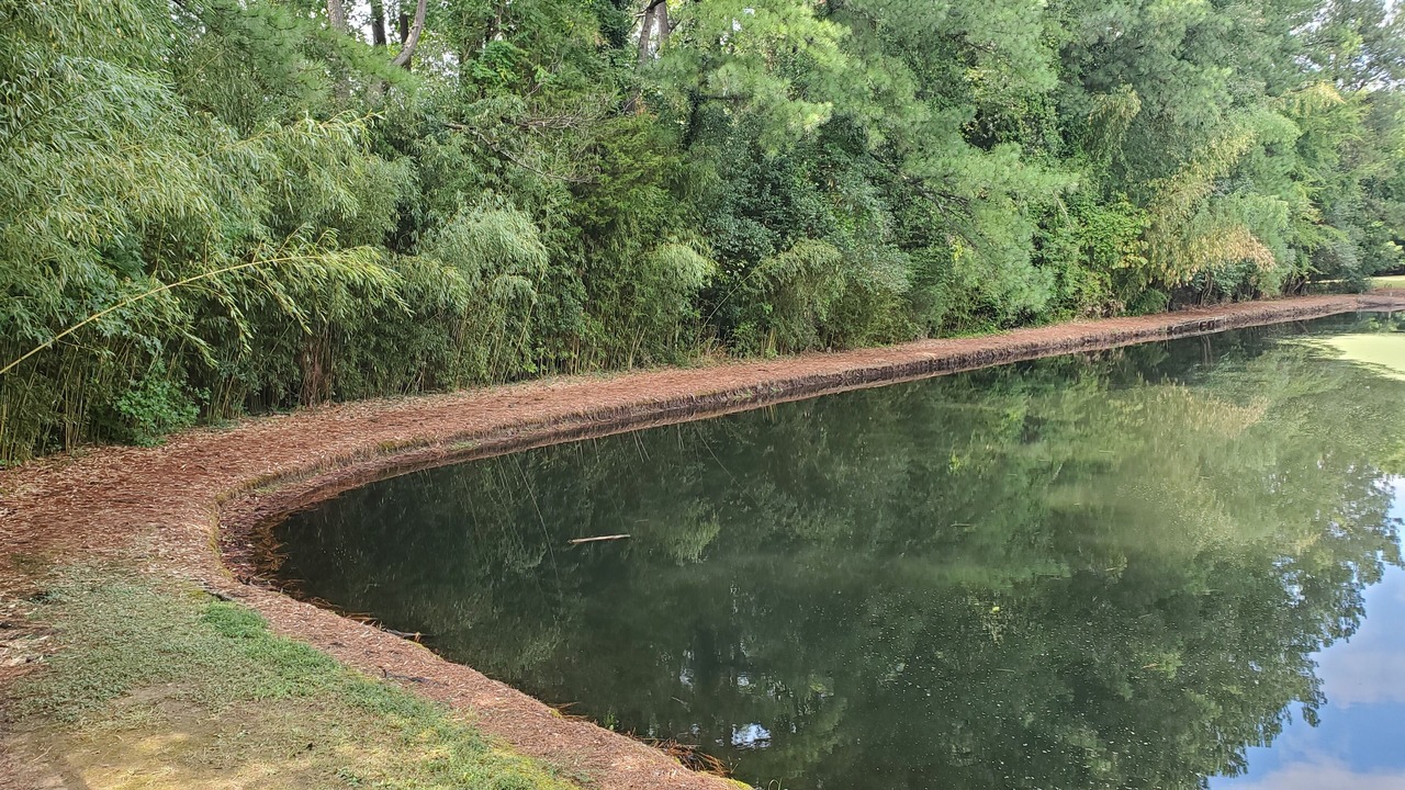 Photo of Outdoor in Burlington