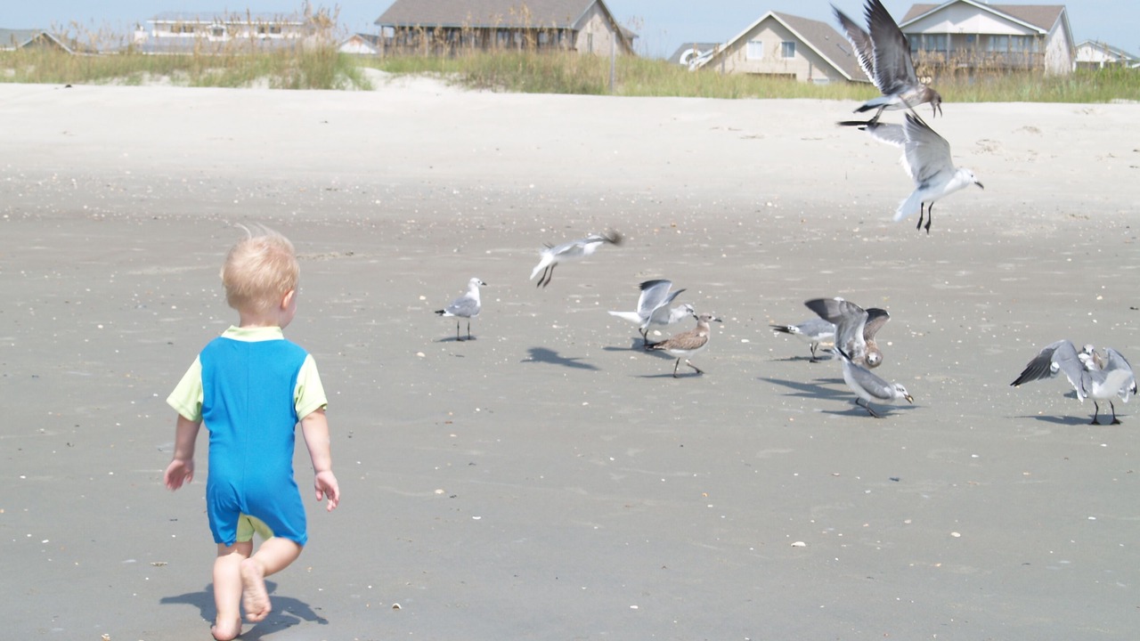Photo of Others in Holden Beach