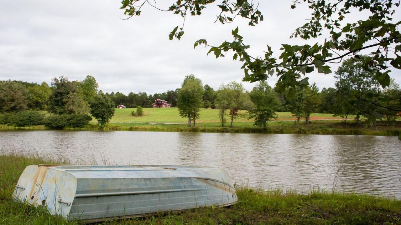 Photo of Outdoor in Westfield
