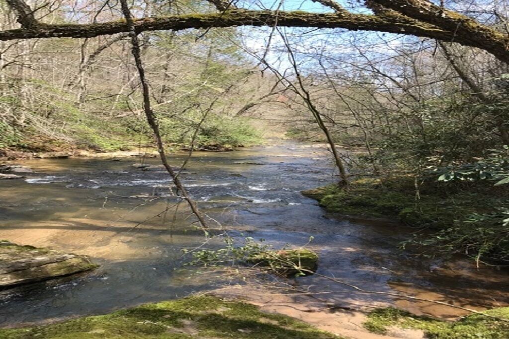 Photo of Outdoor in Lake Lure