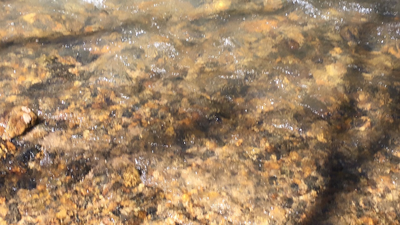 Photo of Others in Lake Lure
