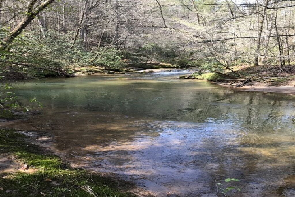 Photo of Outdoor in Lake Lure