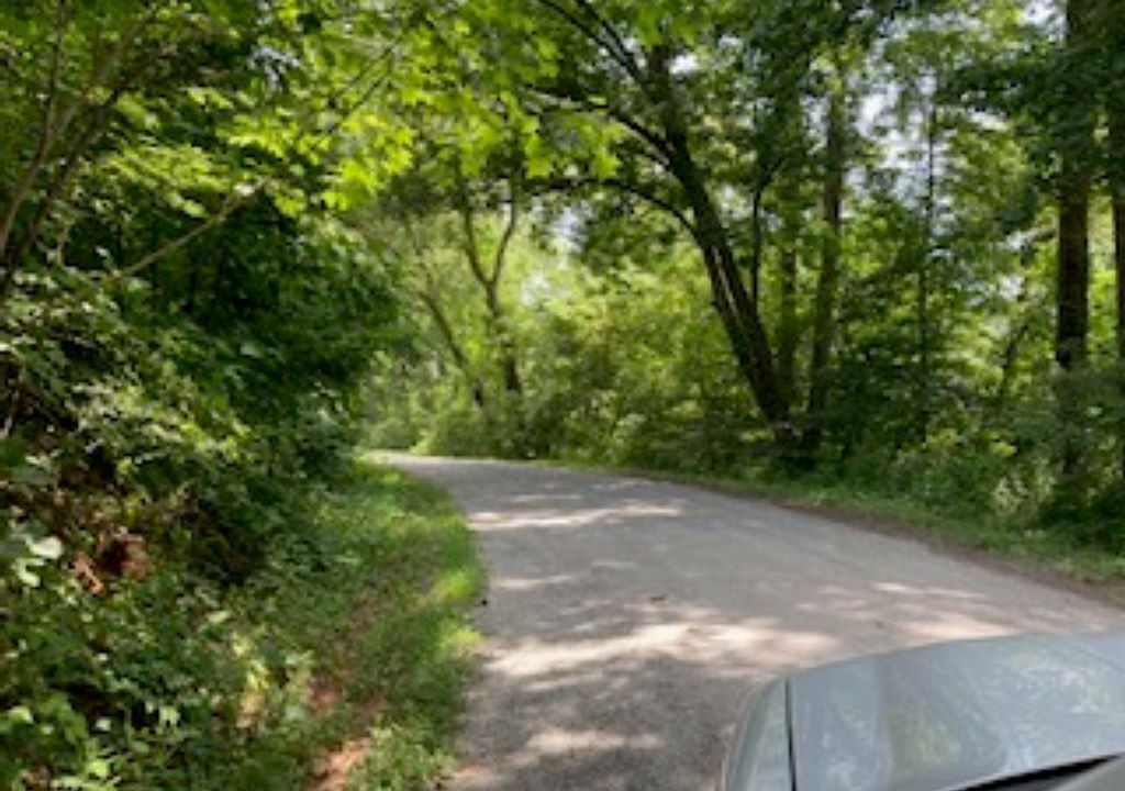 Photo of Outdoor in Lake Lure
