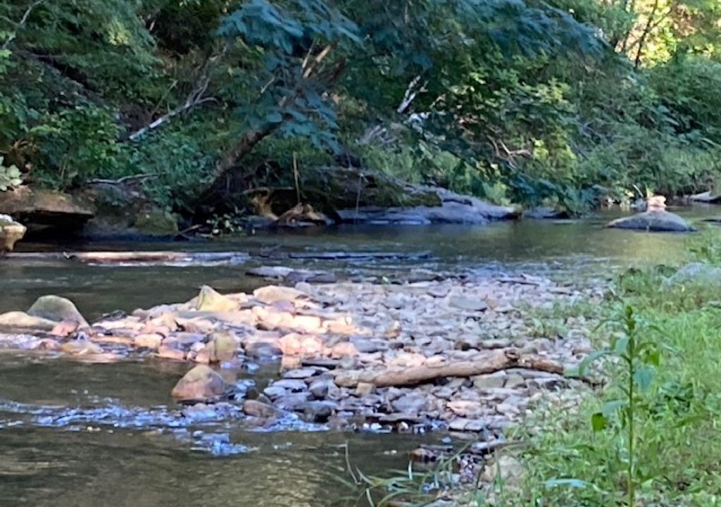Photo of Others in Lake Lure