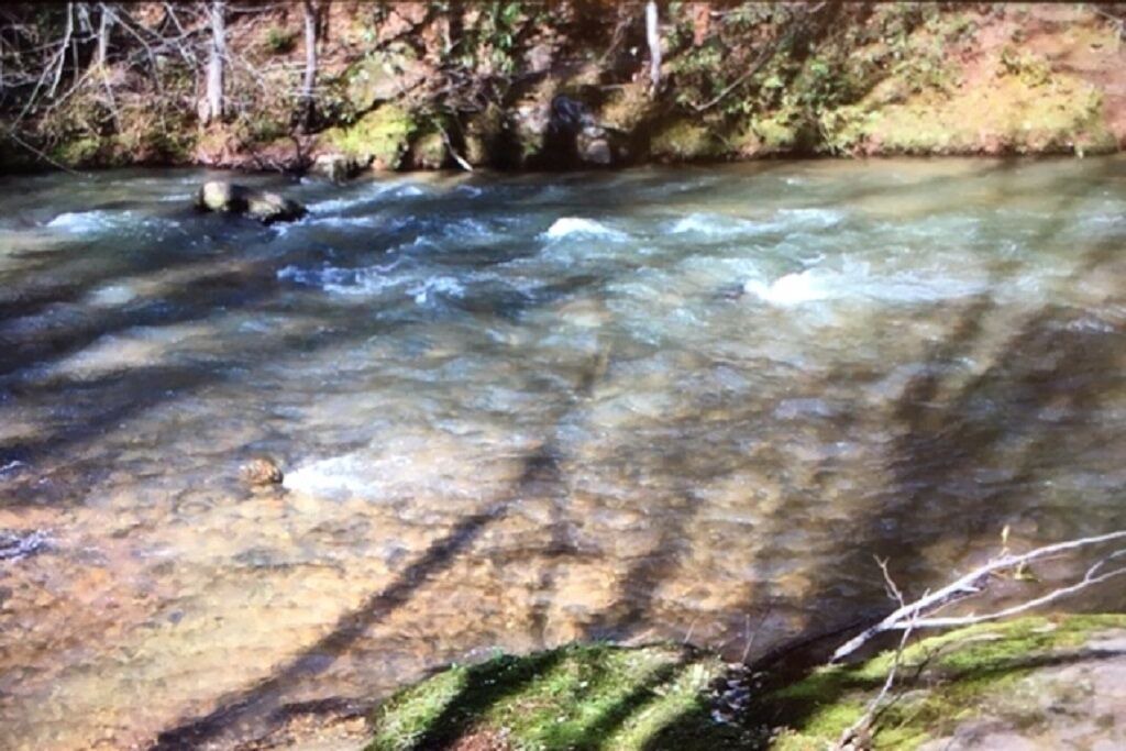 Photo of Others in Lake Lure