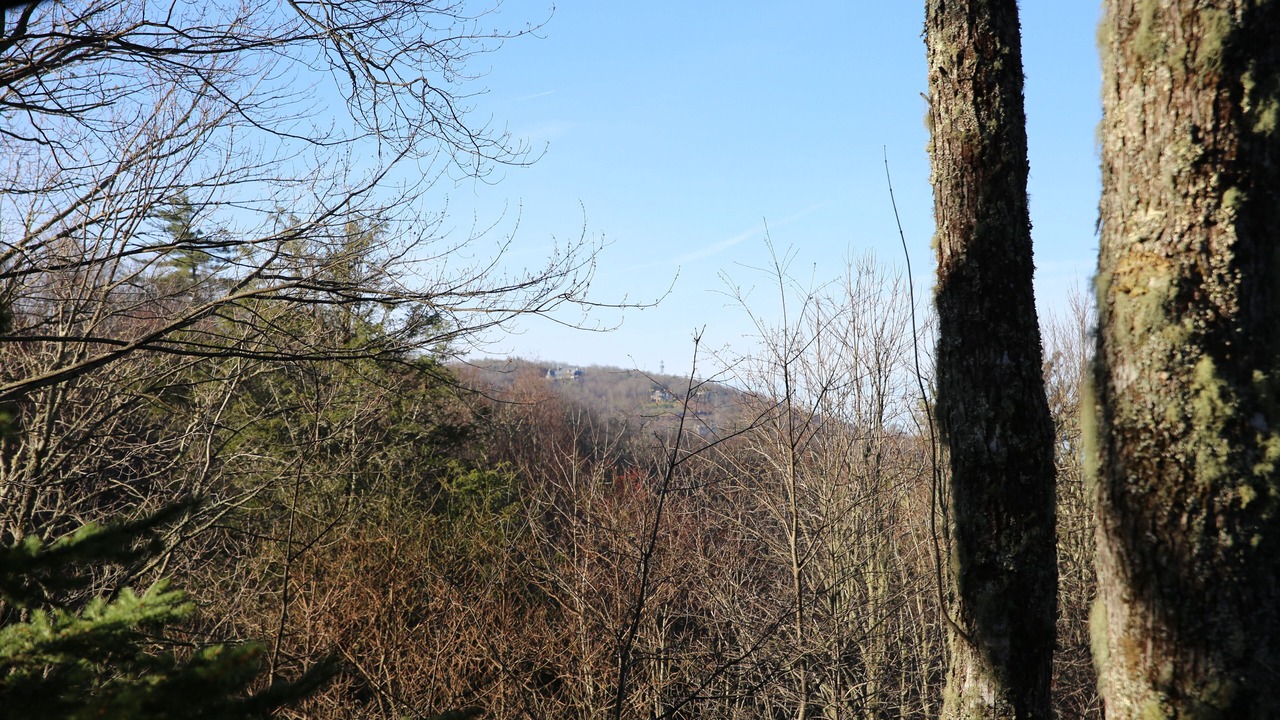 Photo of Outdoor in Highlands