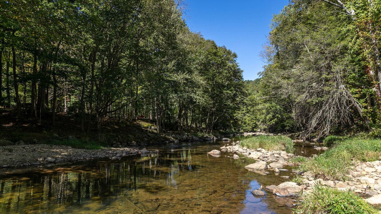 Photo of Outdoor in Elk Park