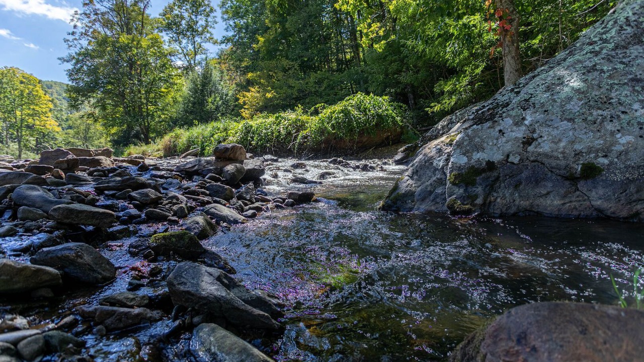 Photo of Outdoor in Elk Park