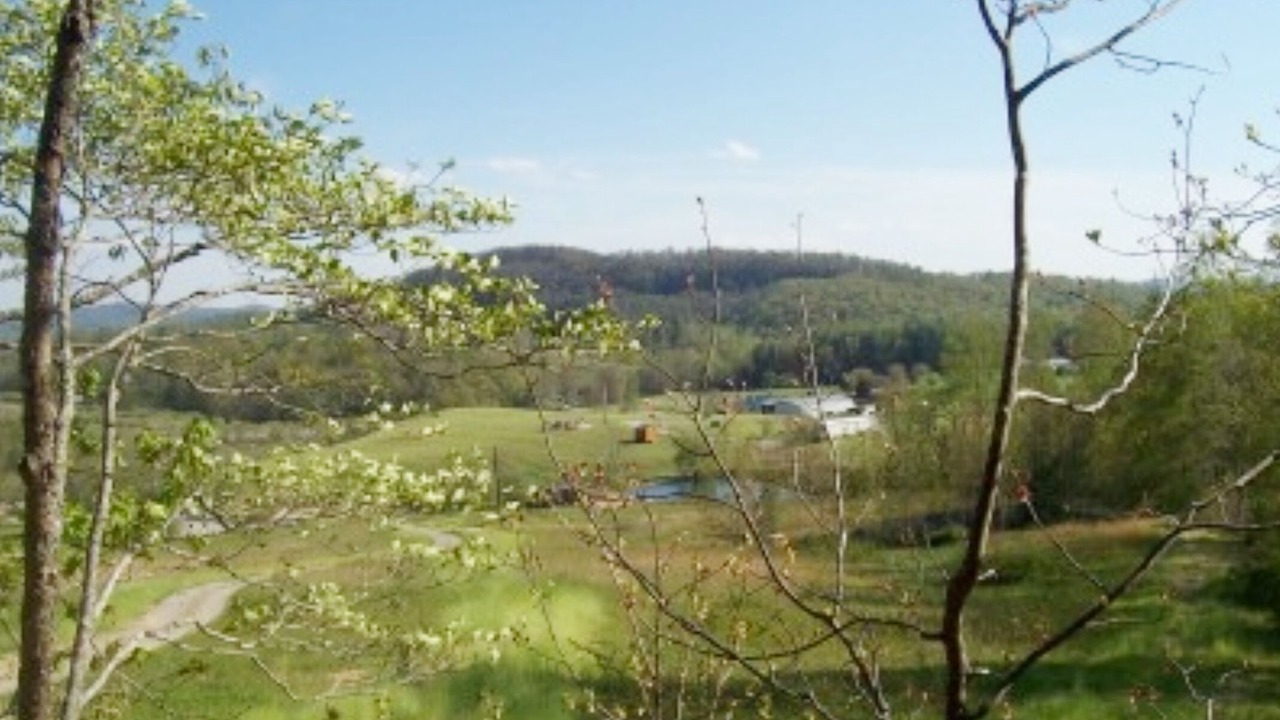 Photo of Others in Hendersonville