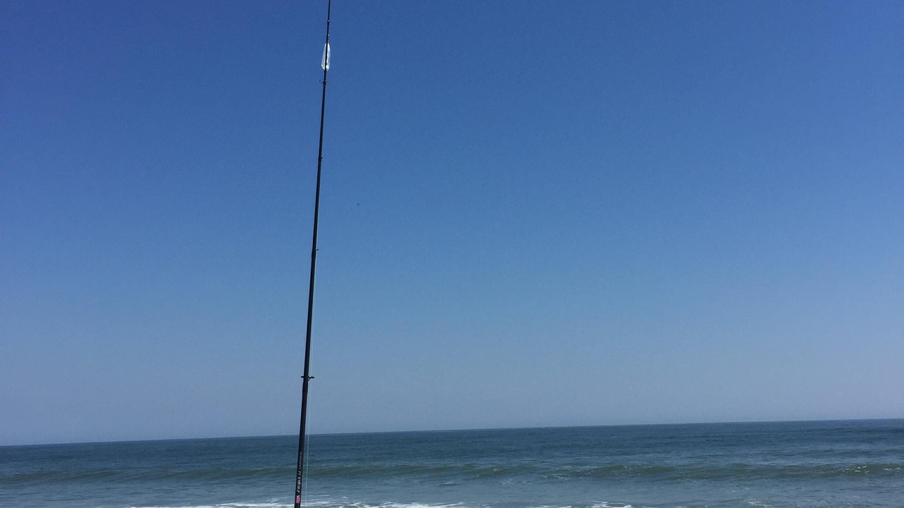 Photo of Others in Southern Shores