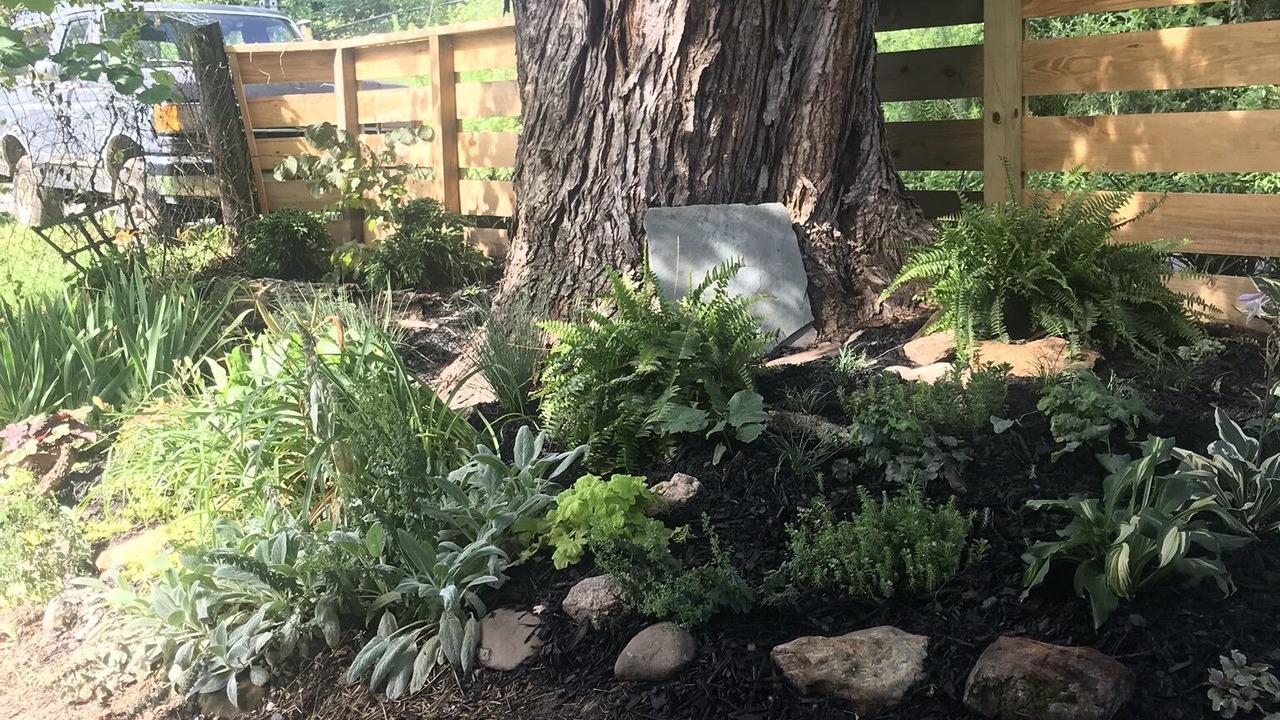 Photo of Outdoor in Woodfin