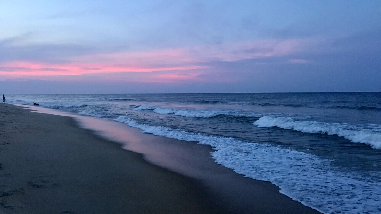 Photo of Others in Southern Shores