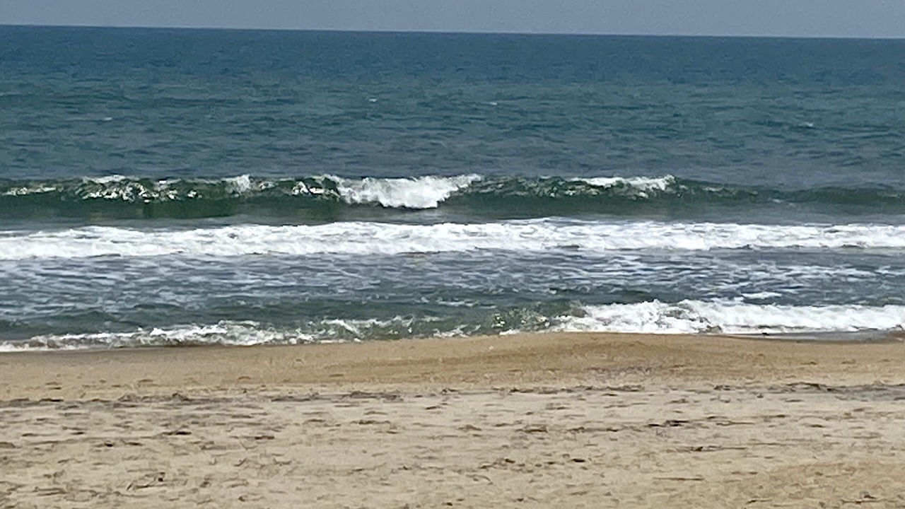 Photo of Others in Southern Shores
