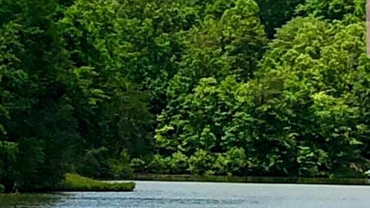 Photo of Outdoor in Lake Lure