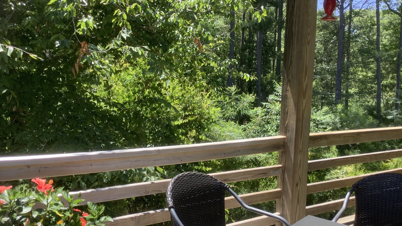 Photo of Outdoor in Kitty Hawk