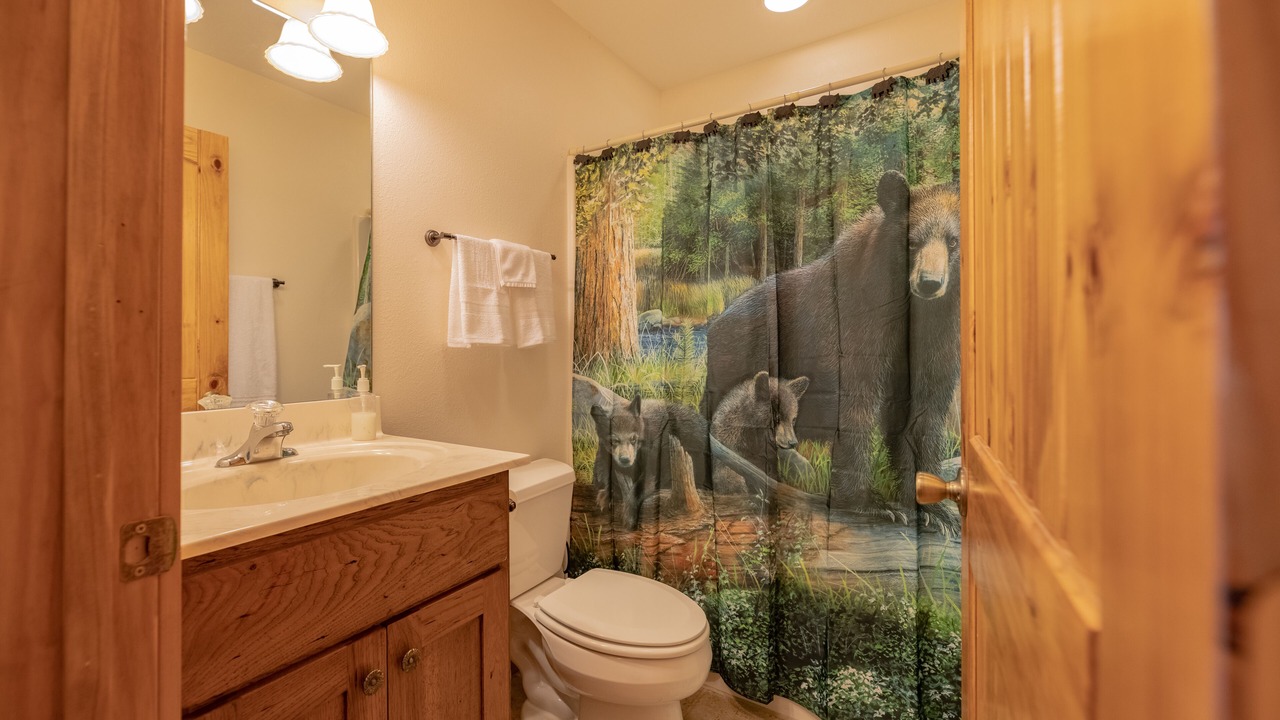 Photo of Bathroom in Maggie Valley