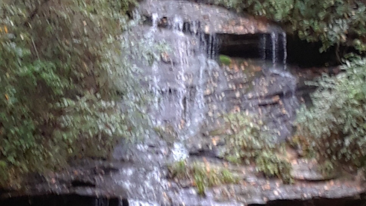 Photo of Others in Bryson City