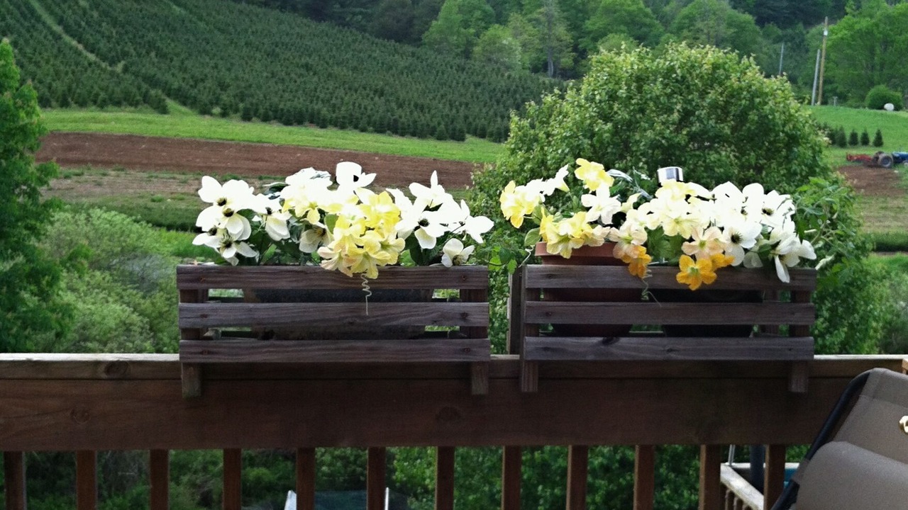 Photo of Outdoor in Glenville