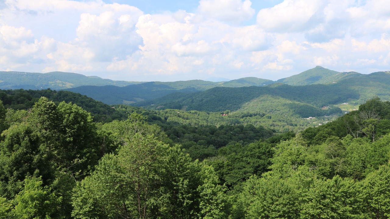 Photo of Others in Sugar Mountain