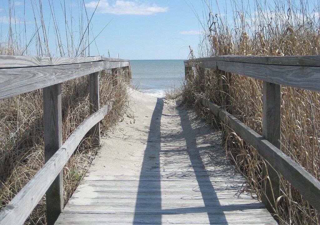 Photo of Others in North Carolina Coast