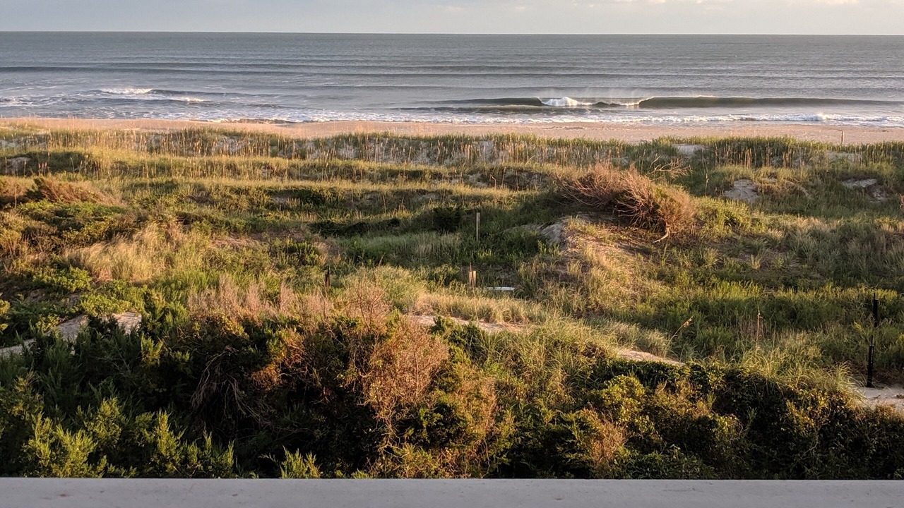 Photo of Others in Morehead City