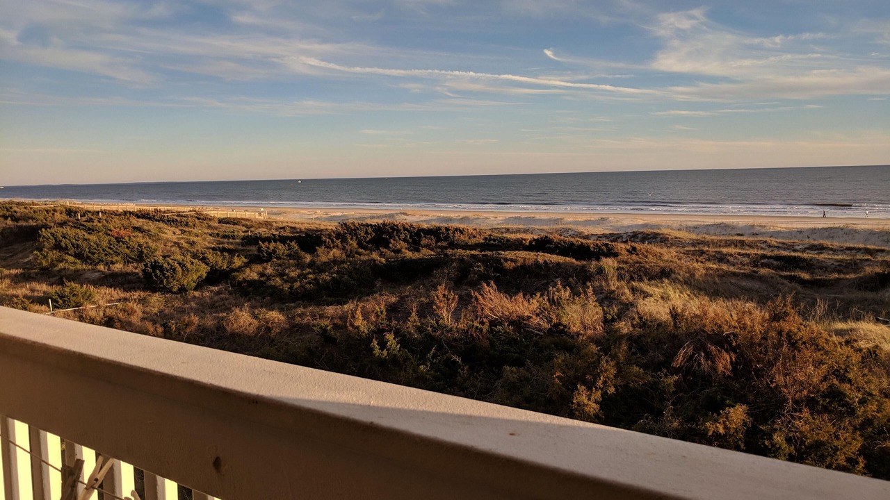Photo of Outdoor in Morehead City