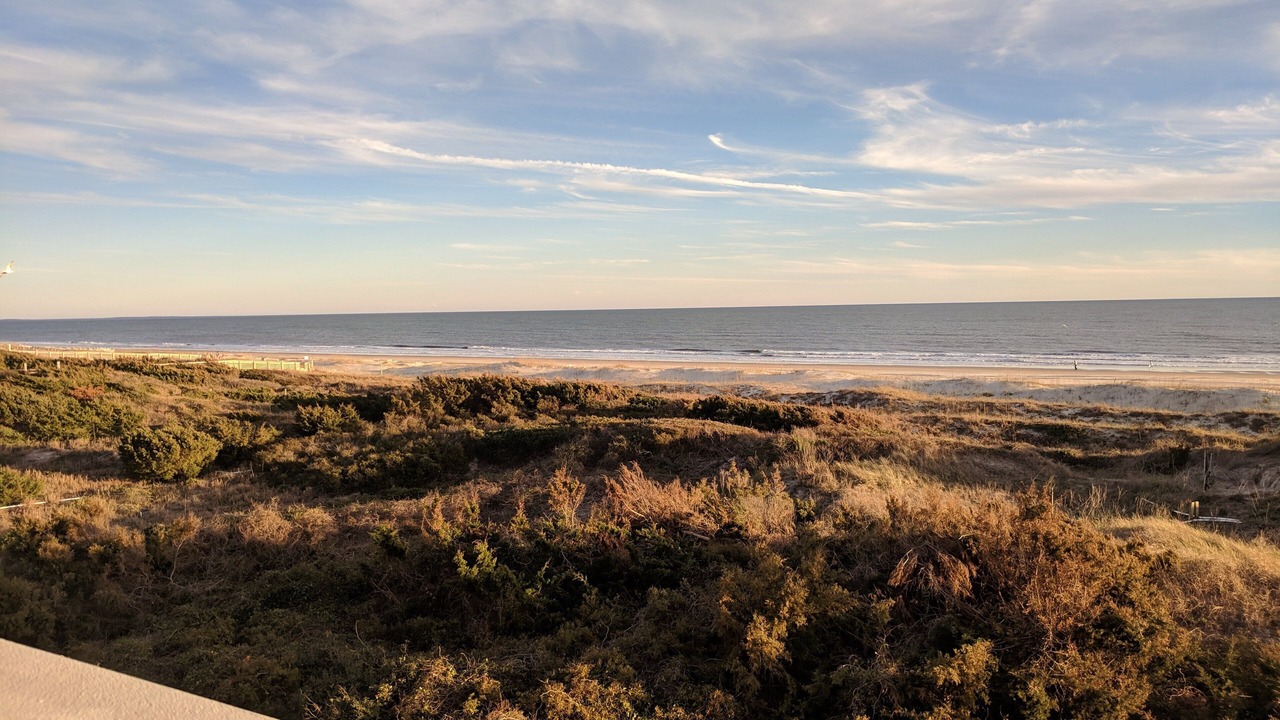 Photo of Others in Morehead City