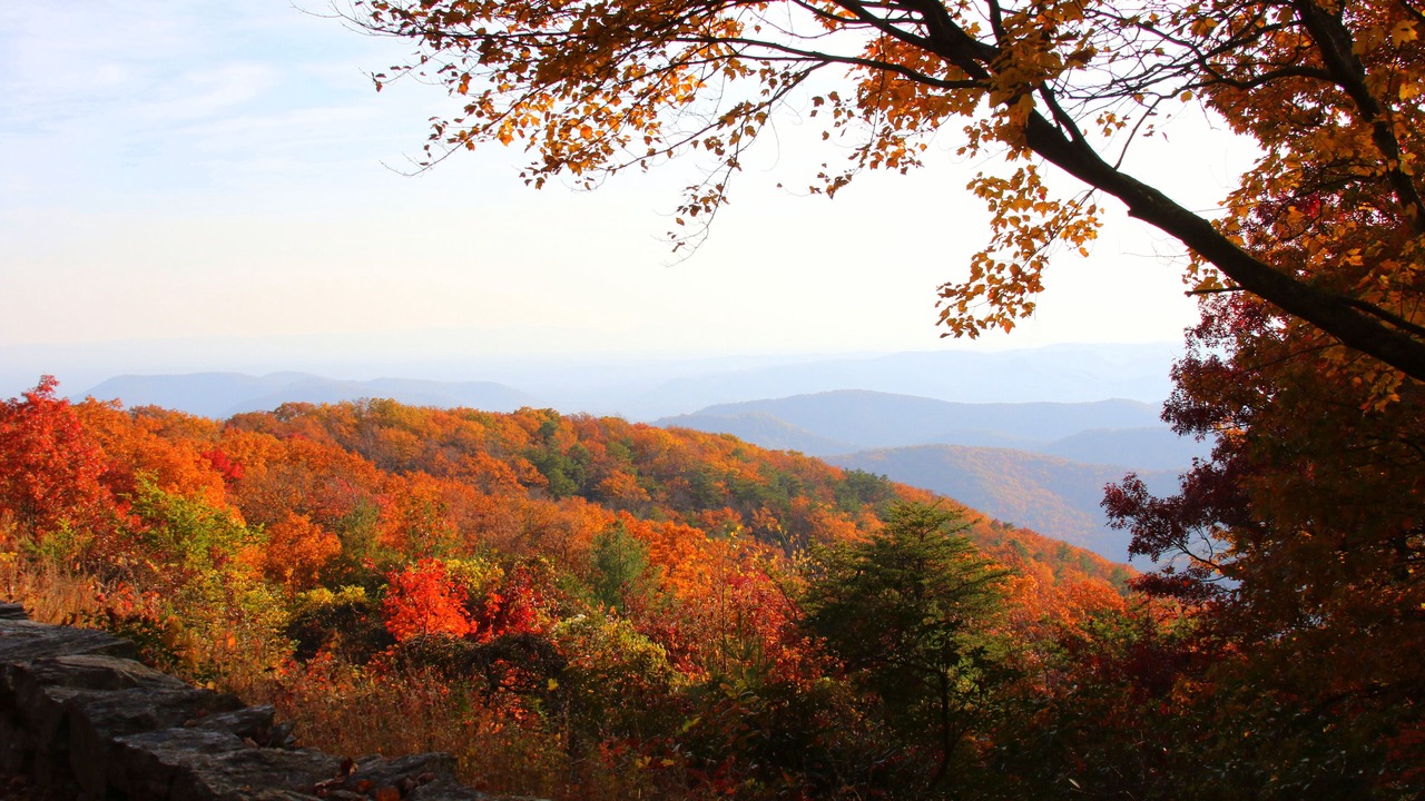 Photo of Others in Glade Valley
