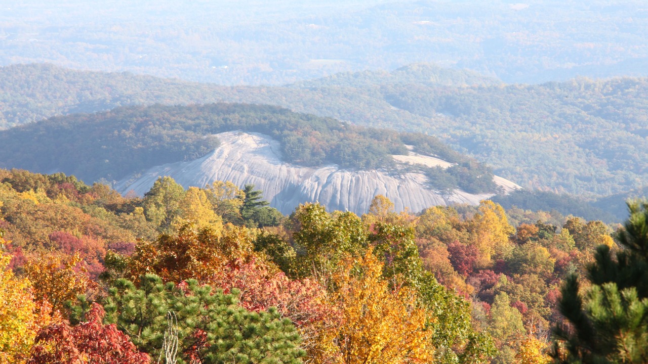 Photo of Others in Glade Valley