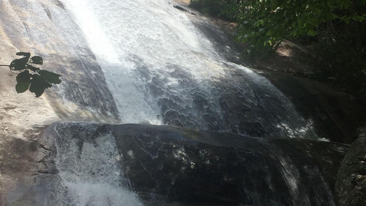 Photo of Others in Glade Valley
